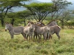 Kidepo Valley National Park (Northeastern Uganda)